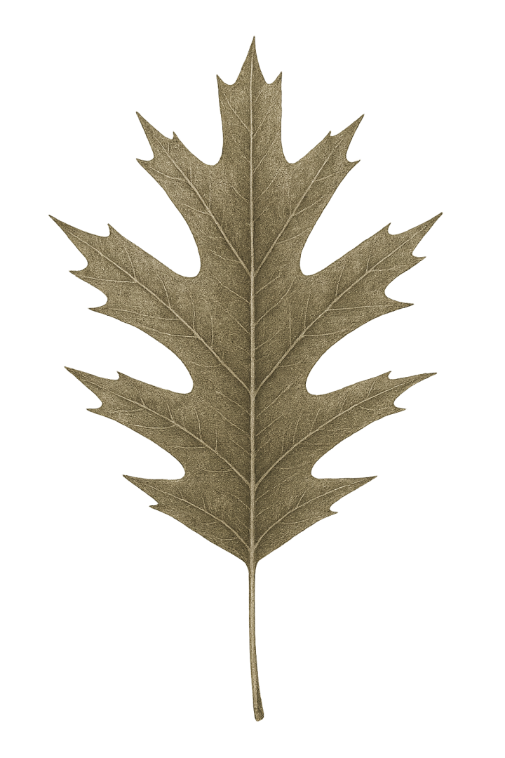 Red Oak