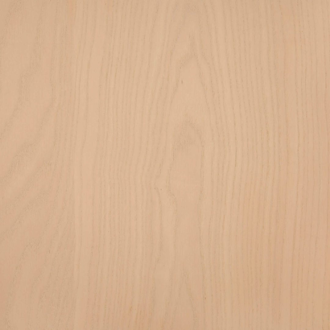 VOOD Albus Fraxinus 12