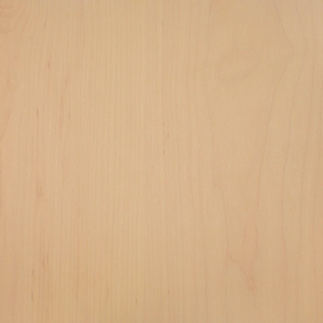 VOOD Albus Acer 12